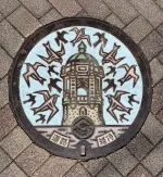 ヒメアマツバメの写真3 - 野鳥図鑑