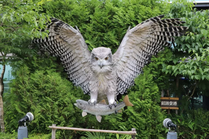 シマフクロウの写真 - 野鳥図鑑