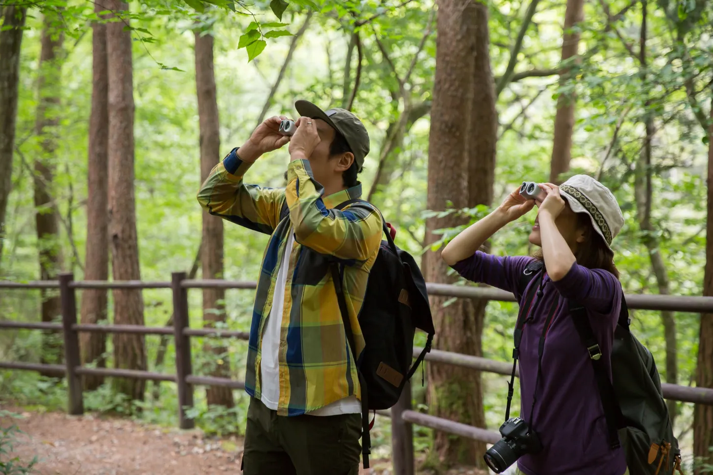 バードウォッチング